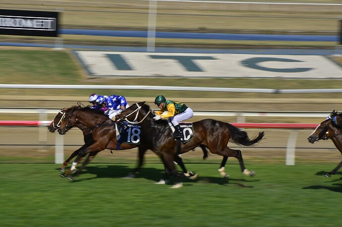 queensland-online-betting-tax-rise-leaves-industry-divided